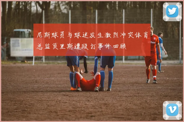 尼斯球员与球迷发生激烈冲突体育总监莫里斯遭殴打事件回顾