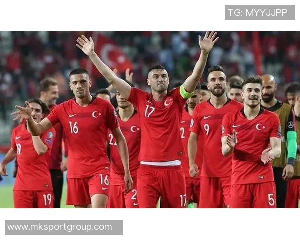 居莱尔展望未来努力助力土耳其重返世界杯舞台